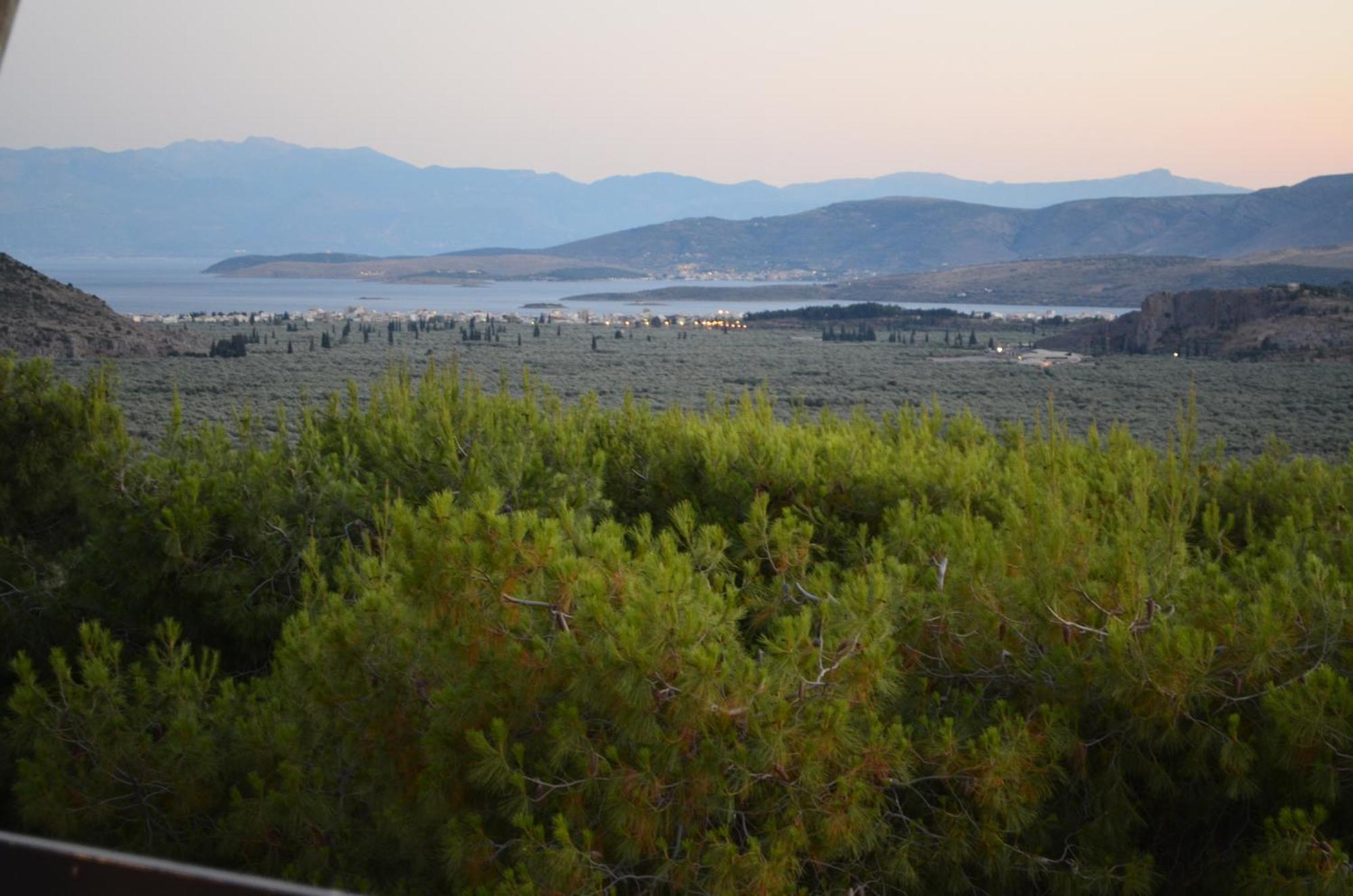 דלפי Chrissa Camping Rooms & Bungalows מראה חיצוני תמונה